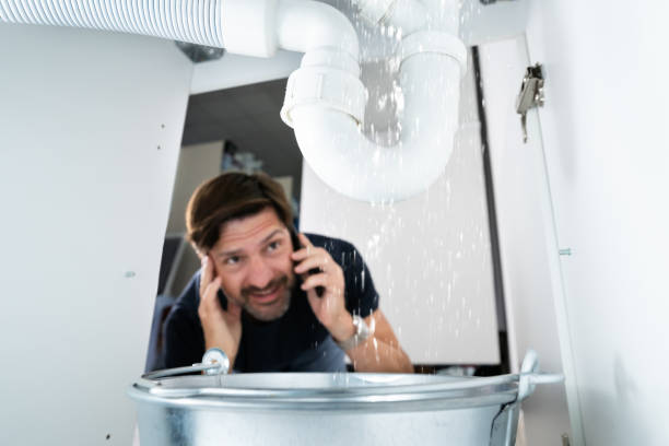 Best Same-Day Plumbing Service  in Pato, WA